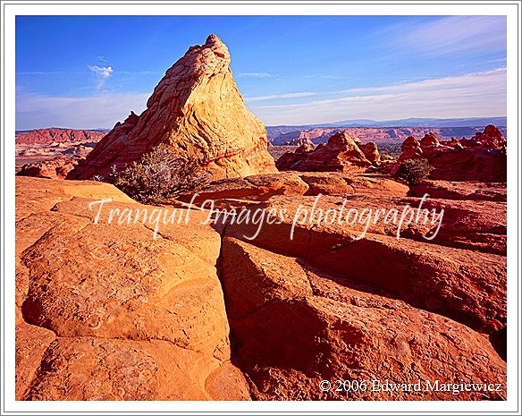 450346B   South Coyote Buttes 